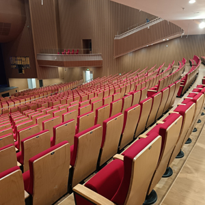 Silla de Auditorio Moderna de Tela para Teatro, Hotel, Hospital - Reposabrazos Ajustables, Patas de Acero, Muebles Comerciales al por Mayor - Product Image 4
