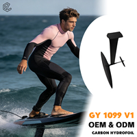 Kit Hydrofoil Carbone Freeride GY 1099 V1 pour l'exploration du Wing Foil avec glisse et contrôle équilibrés pour le Wingfoil en vague