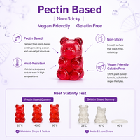 Complément multivitaminé en gommes végétaliennes à base de pectine, saveur fruitée, pour une nutrition quotidienne