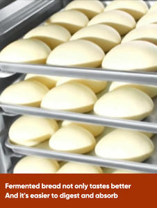 16 Tepsili Otomatik Spreyli Mayalama Kutusu, mayalama kutusu, mayalama odasının ana motoru - Product Image 5