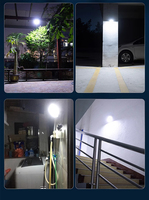 Ampoule LED solaire pour jardin intérieur/extérieur IP65 avec télécommande infrarouge, intensité réglable, blanc