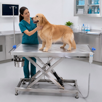Table d'opération vétérinaire électrique XY ACS02 en acier inoxydable avec réglage en hauteur pour chiens et chats