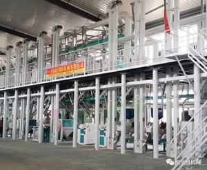 30 <span class=keywords><strong>à</strong></span> 50 tonnes par jour Moulin <span class=keywords><strong>à</strong></span> <span class=keywords><strong>maïs</strong></span> Entreprise de production de farine de <span class=keywords><strong>maïs</strong></span> - Product Image 4