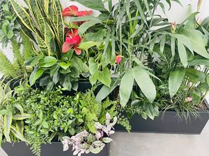 <span class=keywords><strong>Pot</strong></span> de fleurs en aluminium pour la décoration extérieure de la maison, jardin, assemblage en métal, grande taille - Product Image 4