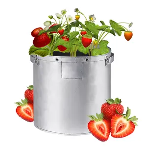 Hyh Professional Supplier Thicken Strawberry /Potato Planting Bags For Garden Supplies