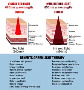 Kantong tidur terapi lampu merah untuk penggunaan rumah 2023, kantong Sauna terapi inframerah 660 850nm, kantong tidur terapi seluruh tubuh untuk menghilangkan rasa sakit