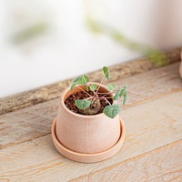 Vente en gros Pots en terre cuite Pot de fleur classique en céramique pour bonsaï Décoration de jardin Plantes succulentes Cactus Pots de jardinière en argile rouge