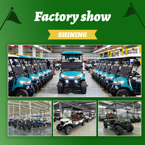 Carrito de Golf Elevado Shininglsv de 4 Plazas, Diseño de Lujo con Suspensión Independiente, Nuestros Productos Ofrecen una Garantía Máxima de Tres Años - Product Image 2