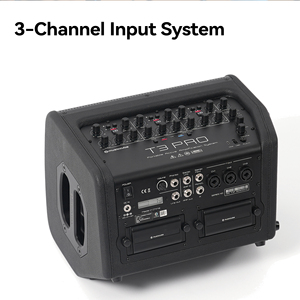 Système de sonorisation actif professionnel de classe D Musiccube T3Pro pour extérieur avec boîtier en bois et module amplificateur numérique DSP - Product Image 3