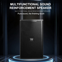 Sistema de Altavoces Line Array Profesional Dual de 10 Pulgadas, Conjunto Completo PA con Subwoofer, Amplificador, Mezclador DSP, 8 Ohmios, 800W RMS para Escenarios de Conciertos