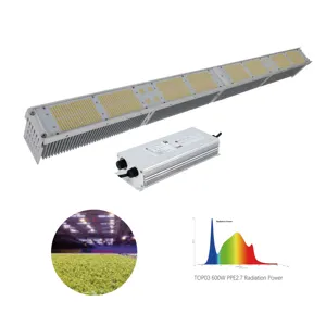 Hochwertige 5 Jahre Garantie Schlanker linearer Innen garten 600w 300w Pflanze wachsen Licht LED Voll spektrum