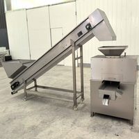 Industriële citruspers voor citroen, sinaasappel en passievrucht, dubbele rollerpers, slowjuicer, sapcentrifuge