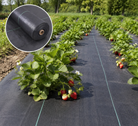 Toile de paillage tissée en PP stabilisée anti-UV, bâche anti-mauvaises herbes, toile agricole anti-herbe, tissu paysager pour jardin