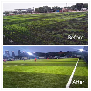 <span class=keywords><strong>Cancha</strong></span> <span class=keywords><strong>de</strong></span> fútbol 50mm Tenis y fútbol Alfombra <span class=keywords><strong>de</strong></span> césped artificial sintética Material PP para campo deportivo - Product Image 6