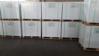 Rollo de Papel Adhesivo Fluorescente para Etiquetas de Clasificación de Archivos y Carpetas de Oficina