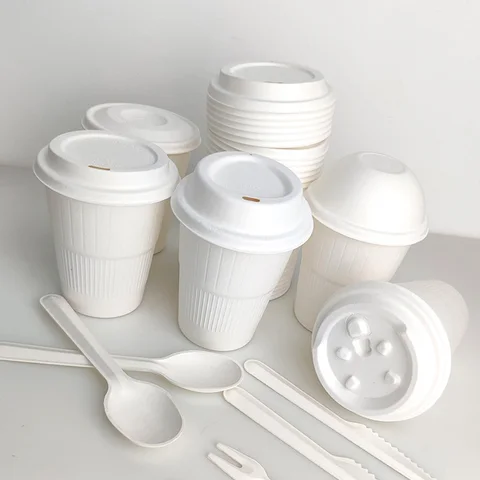 Flat Cover Disposable Sugarcane Bagasse Lid Coffee Cup Eco Biodegradable Lids