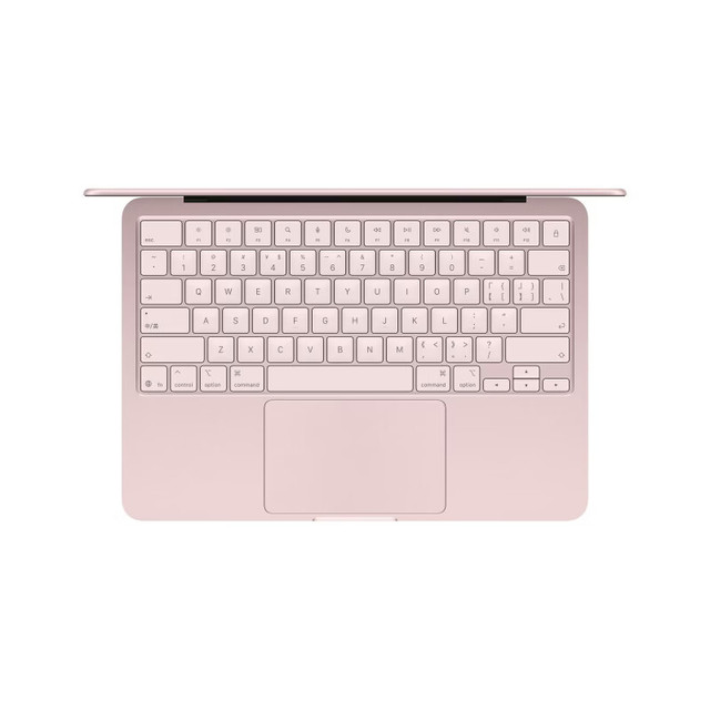 Apples AI Laptop/MacBookNeo 13inch A18 PRO (6+5 Core) 8GB Memory 512GB Solid State