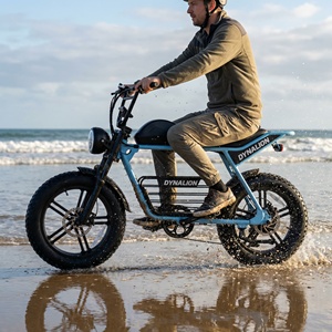 Moto tout-terrain robuste électrique avec frein hydraulique, E-Dirt Bike robuste pour le sable et la boue - Product Image 6
