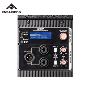 Amplificador de Audio Profesional Portátil con Caja de Música de Madera, <span class=keywords><strong>Sonido</strong></span> PA Magnético <span class=keywords><strong>para</strong></span> Automóviles, <span class=keywords><strong>para</strong></span> Fiestas y Escenarios - Product Image 5