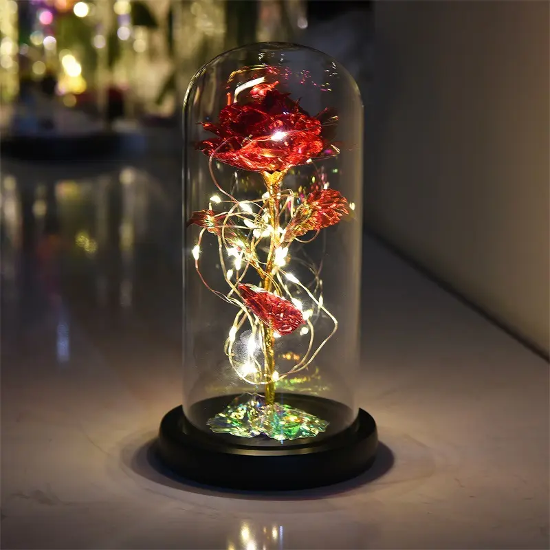 2024 Regalos de decoración populares Lámina de oro Cubierta de vidrio Rosa Galaxy Rose en flores de vidrio con luces Cúpula geodésica de vidrio