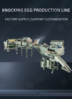 Usine de boulangerie Machine automatique de décorticage d'œufs Ligne de traitement d'œufs liquides Blancs d'œufs liquides pasteurisés