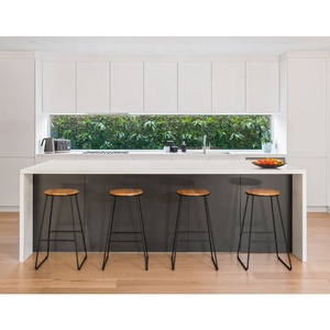 عالي اللمعة ورنيش اللوحة الحديثة خزائن المطبخ الاقتصادي Kitchenette جميع في واحد - Product Image 6