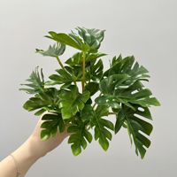 Plantes en pot décoratives artificielles de type Taro Guanyin et pomme verte avec fleurs mélangées pour aménagement mural