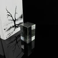 Cube en verre transparent K9 personnalisé, bloc de verre transparent pour la décoration intérieure, cloison