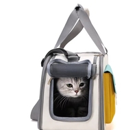 Sac de transport pour animaux de compagnie coloré et élégant avec poche avant, filet ventilé et fenêtre enroulable pour petits animaux