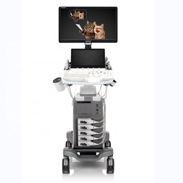 4D/5D Ultrasound Machine Veterinary/17Mhz High Frequency Ultrasound SonoScape Ultrasound Imaging Diagnosis