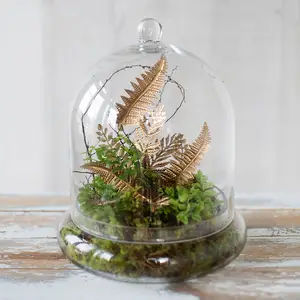 圆顶Cloche玻璃容器托盘套装圣诞节日礼物家庭装饰植物玻璃容器