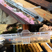 6PCS Beetle Trap Kit, Werks zubehör Neue Imkerei werkzeuge Leicht zu reinigen von Kunststoff käfer falle zum Verkauf,