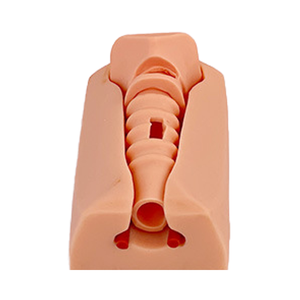 Tachea cilt seti için gelişmiş PVC yetişkin trakeostomi simülatörü Cricothyrotomy ve entübasyon eğitim modeli takviyesi - Product Image 2