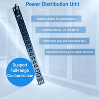 PDU de base 32A pour montage en rack avec protection contre les surcharges, protection contre les surtensions en option, prises personnalisables