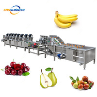 Laveuse à bulles d'air industrielle chinoise de grande capacité pour le nettoyage de fruits (dattes, raisins, bananes, figues de Barbarie, agrumes, noix de coco, oranges)