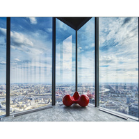 Fenêtre panoramique élégante noire de style Crittall à grille combinée pour chambre de villa moderne de style ferme