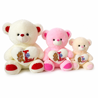 Valentijnsdag Teddybeer Zachte Pluche Speelgoed Borduurwerk Polyester Gevuld Cadeau