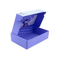 Boîte cadeau en papier personnalisée, design tendance, estampage à chaud or et argent, emballage e-commerce pour avion, stylisée avec insert en mousse noire