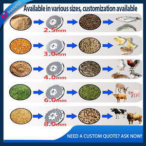 Máquinas <span class=keywords><strong>de</strong></span> Procesamiento <span class=keywords><strong>de</strong></span> Alimentos para Pollos, Vacas y Gatos Fabricadas en Fábrica, Máquina <span class=keywords><strong>de</strong></span> Pellets para Alimentos, Diversas Capacidades, Producto Más Popular - Product Image 4