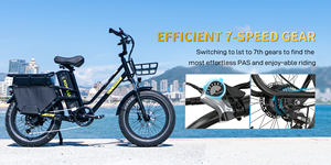 Bicicleta Eléctrica Plegable KOOLUX X8 con Marco de Hierro y Batería de Litio, Velocidad Máxima 25 km/h, Motor de 250 W en la Rueda Trasera, Neumático Grueso de 20 Pulgadas, 6 Velocidades - Product Image 5