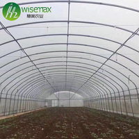 Grande serre monocouche chinoise à faible coût, tunnel de culture pour tomates, installation facile, fabriquée en film plastique PE