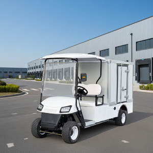 Carrito de Golf Eléctrico con Cajas de Carga, Portacelular Multifuncional, Certificado EEC, 30 km/h, Autonomía de 70-90 km - Product Image 4