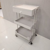 Chariot de rangement métallique haut de gamme pour salon de beauté, chariot roulant avec tiroir et armoire de rangement pour spa