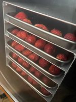 110V Huishoudelijke vriesdroger op voorraad Beste prijs Vacuümvriesdroogapparatuur voor tropische fruit en groenten