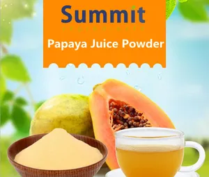 Top Quality Pure 100% Natural Papaya Powder Papaya Fruit Powder Papaya Juice Powder