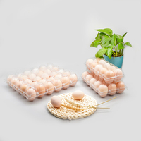 Plateaux à œufs transparents en plastique PET blister jetables bon marché marque TALY pour œufs frais fermes et supermarchés