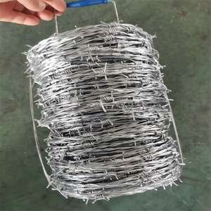 Alambre de Púas Galvanizado por Inmersión en Caliente de 12*14, Doble Hilo, Material de Hierro - Product Image 2