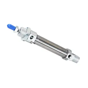 DSNU series stainless steel single acting cylinder DSNU-10-12-16-20-25-32-40-PPV-A stroke adjustable square piston rod