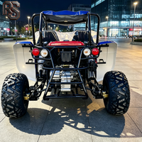 Châssis de buggy tout-terrain Raxen à transmission automatique 300cc Side-by-Side – Pièces courantes – Plaisir en famille