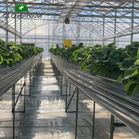 GT film plastique couvert serre extérieure agriculture commerciale cadre métallique agriculture serre
